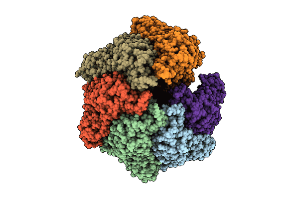 8OVG image