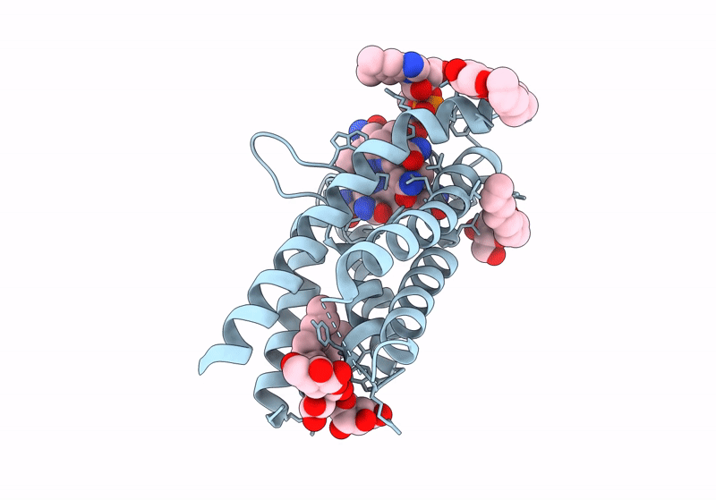 8OVV image