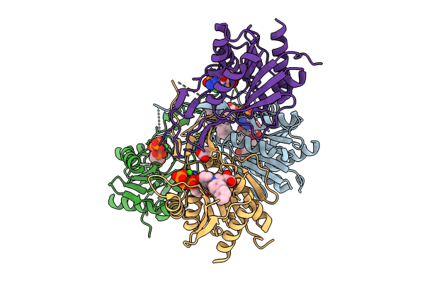 8OWP image