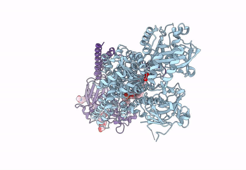 8OXB image