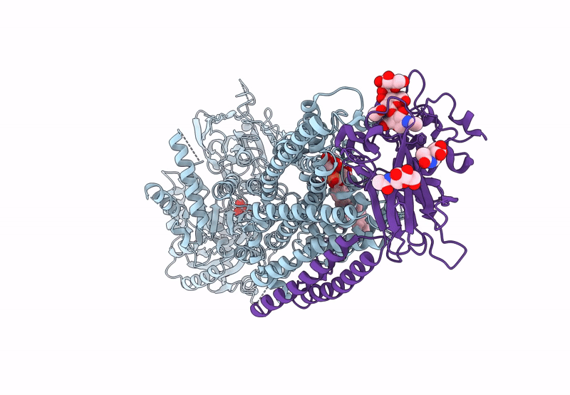 8OXC image