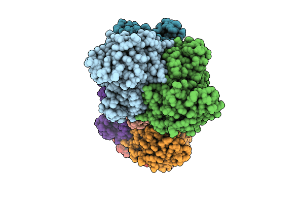 8OXF image