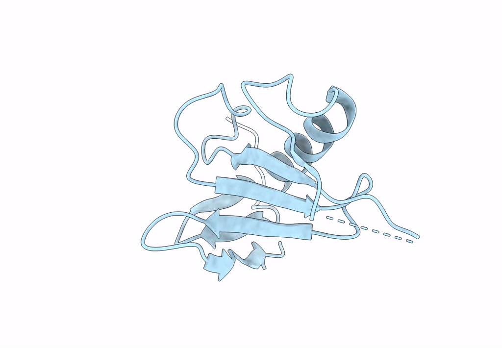 8OXI image