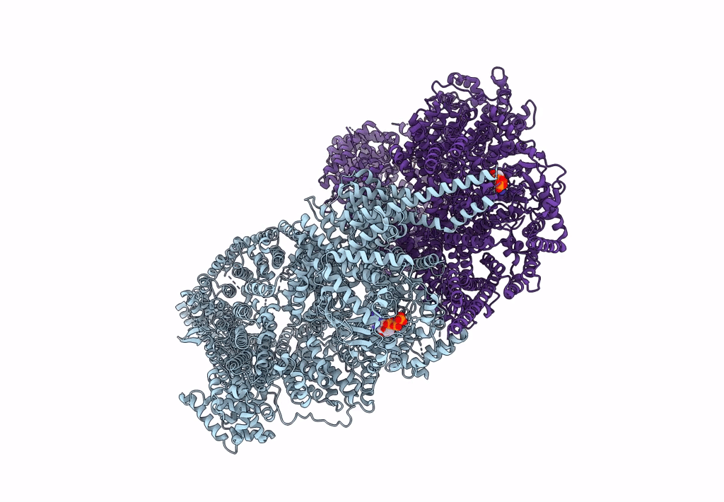 8OXP image