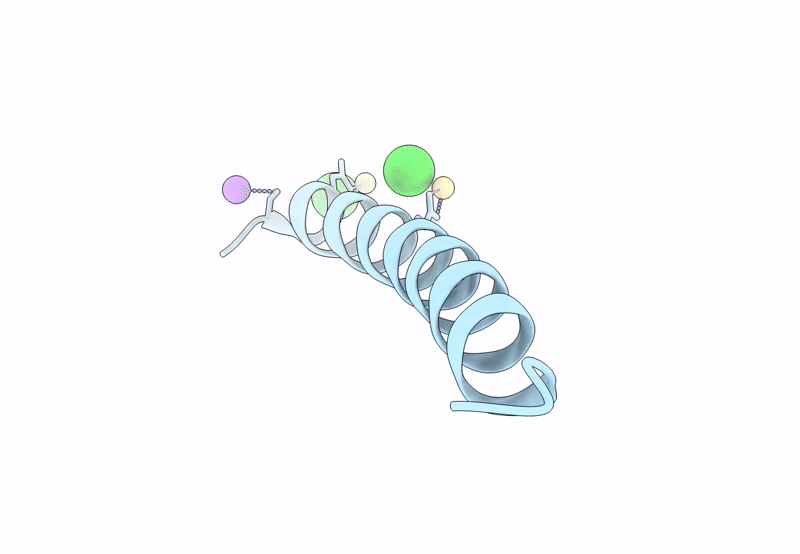 8OYL image