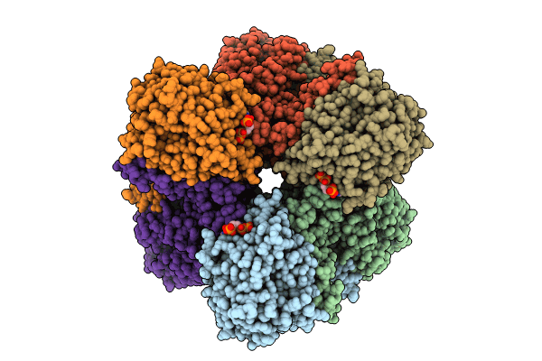 8P02 image