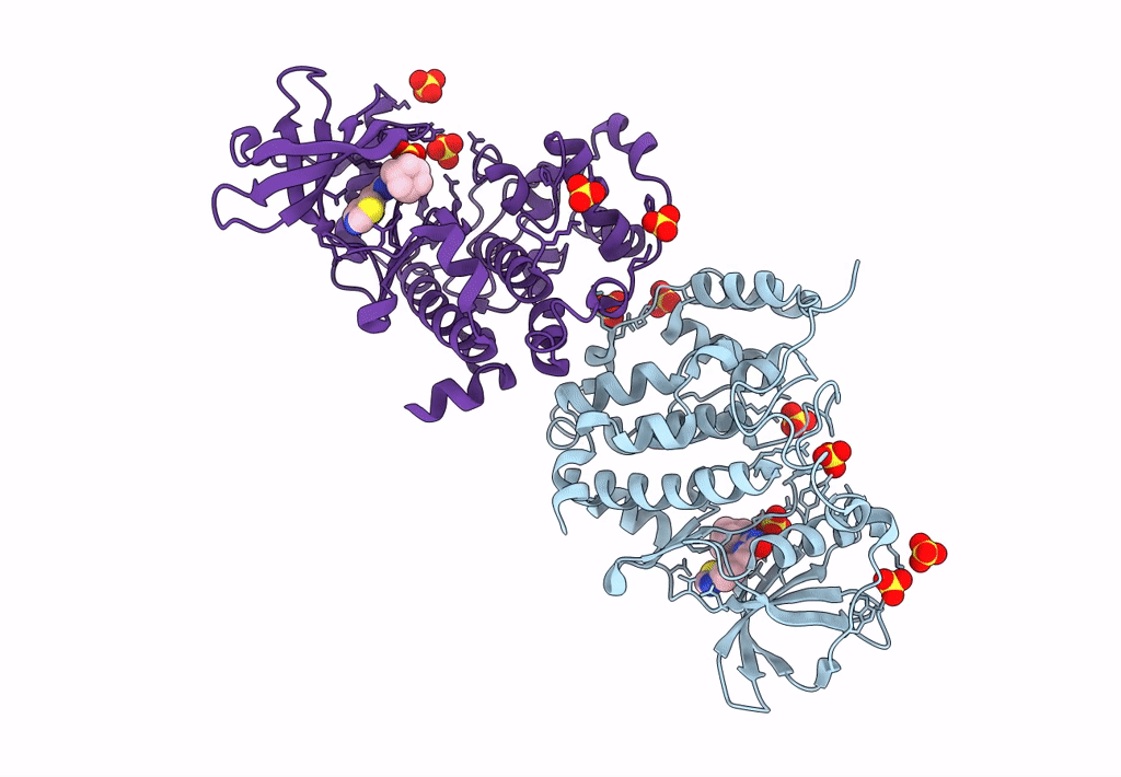 8P05 image