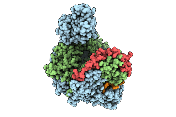8P0B image