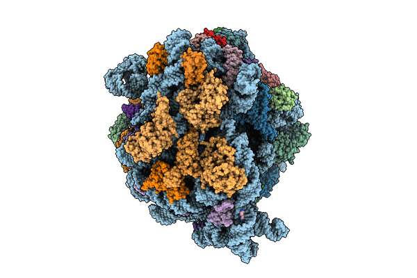 8P18 image