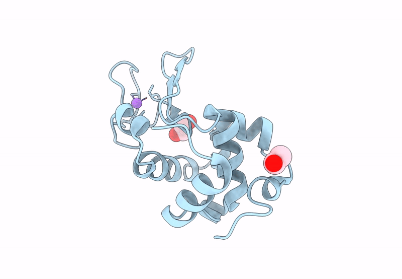 8P1C image