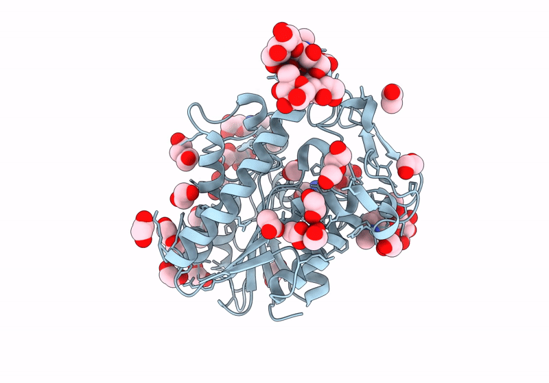 8P1G image