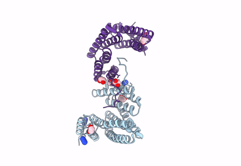 8P1H image