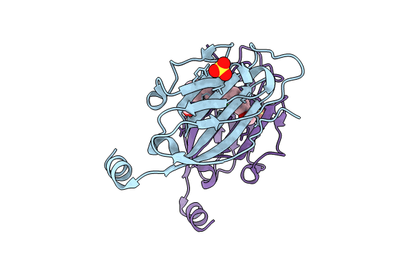 8P1O image