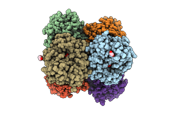 8P1S image