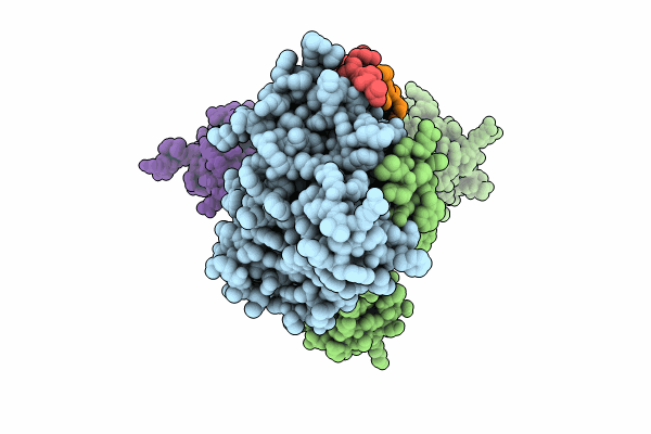 8P1U image
