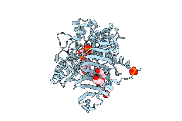 8P1X image