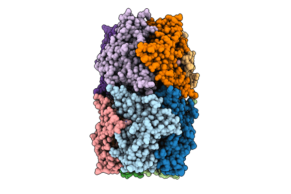 8P22 image