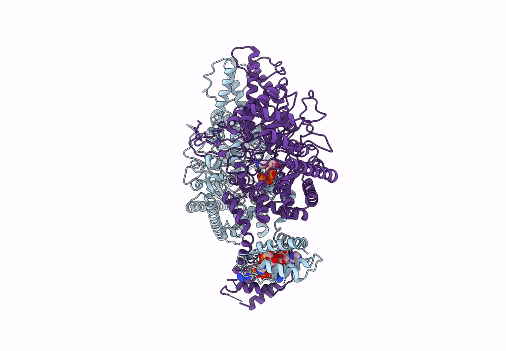 8P23 image