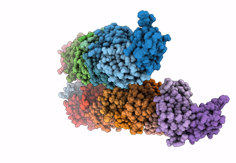 8P24 image