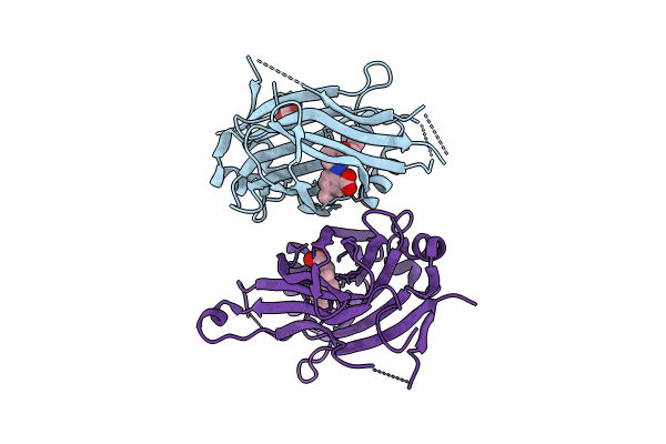 8P29 image