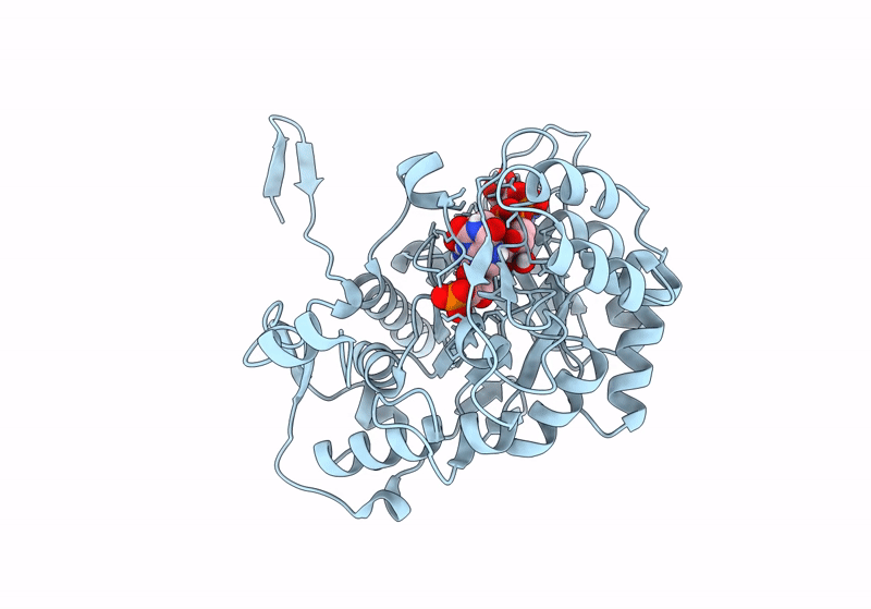 8P37 image