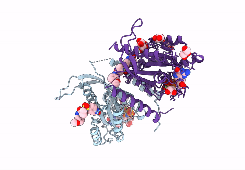 8P3K image