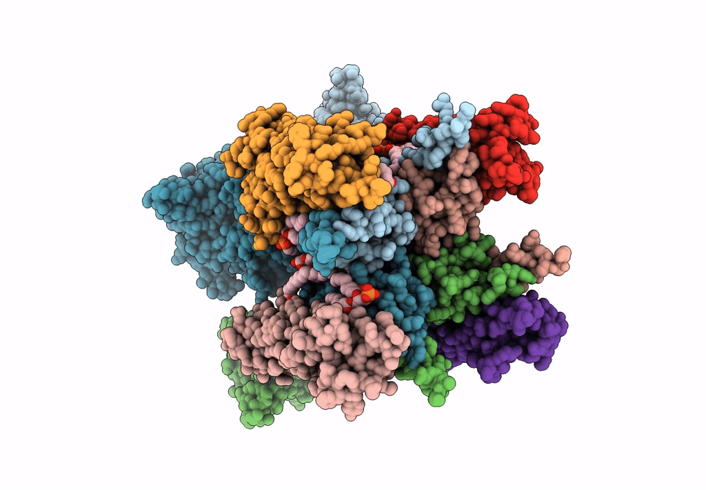 8P3S image