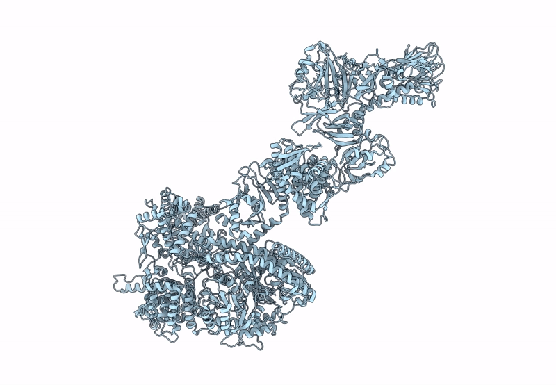 8P52 image
