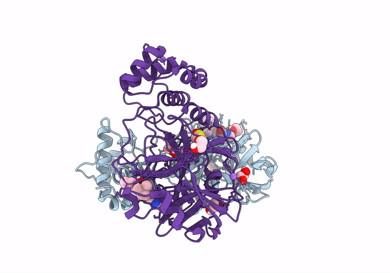 8P58 image