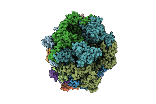 8P62 image