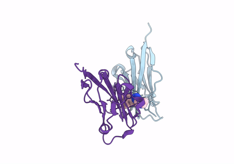 8P64 image