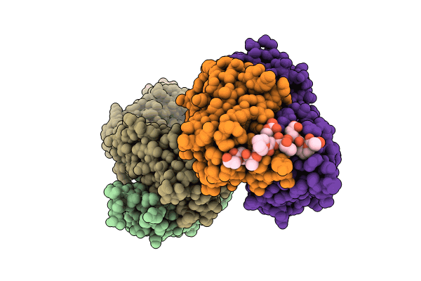 8P6I image