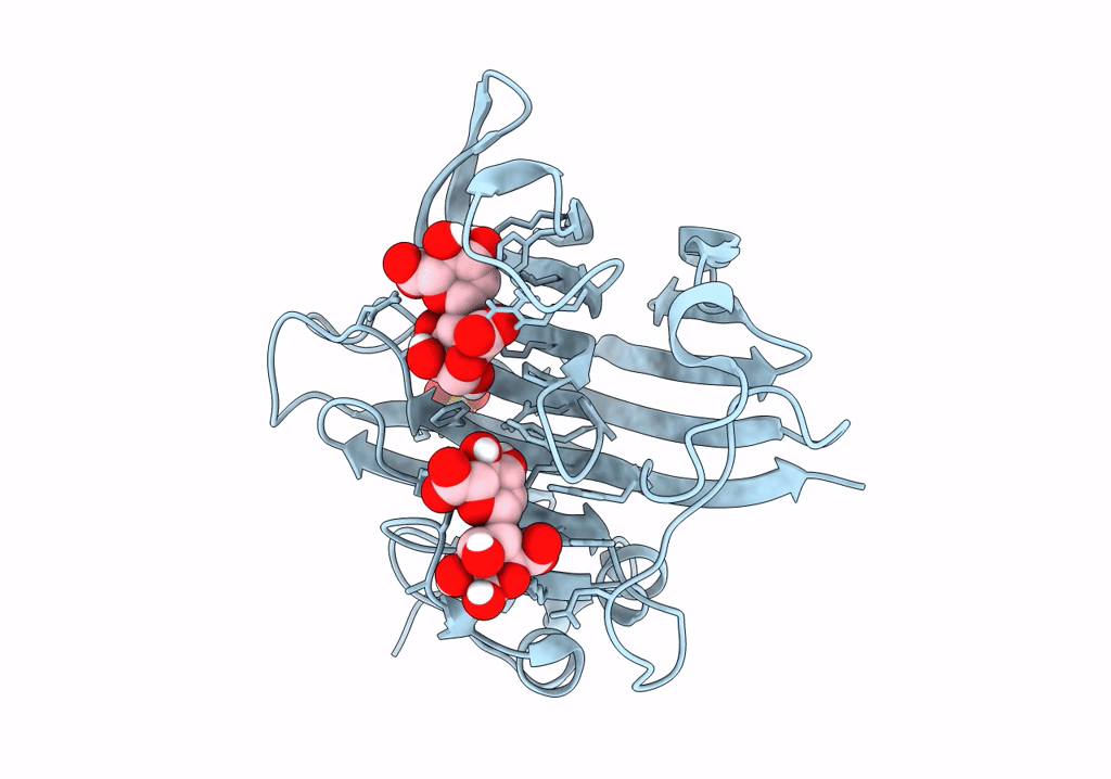 8P6O image