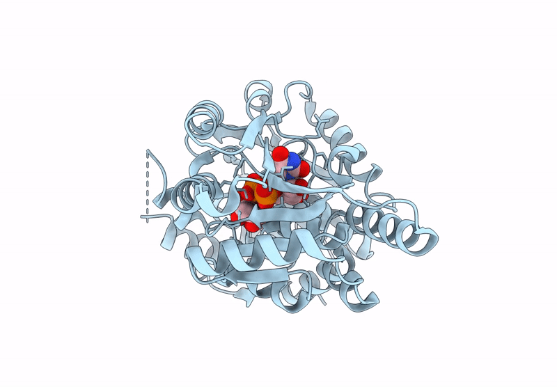 8P6S image