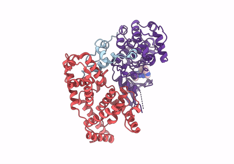 8P70 image