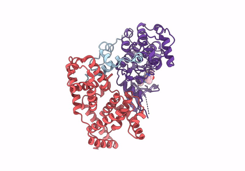 8P77 image