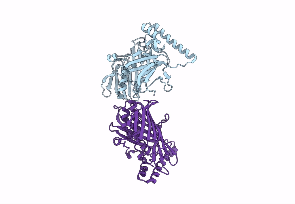 8P7A image