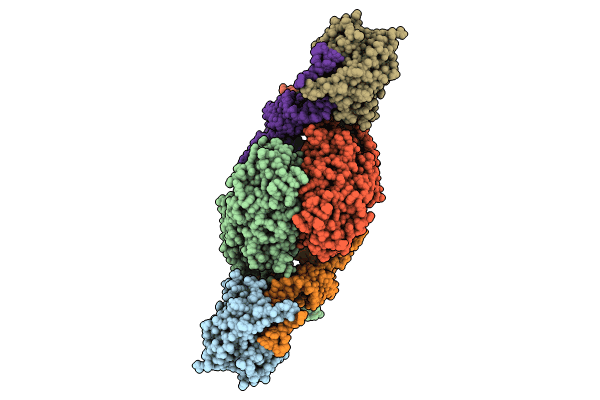 8P7C image