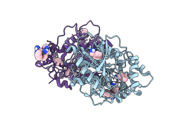 8P7E image