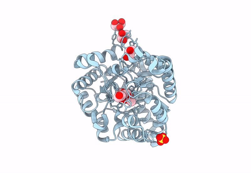 8P7H image