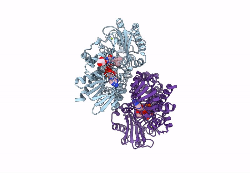 8P84 image