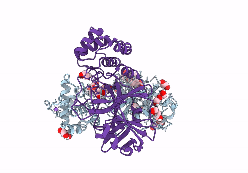 8P86 image