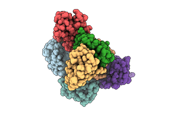 8P8H image