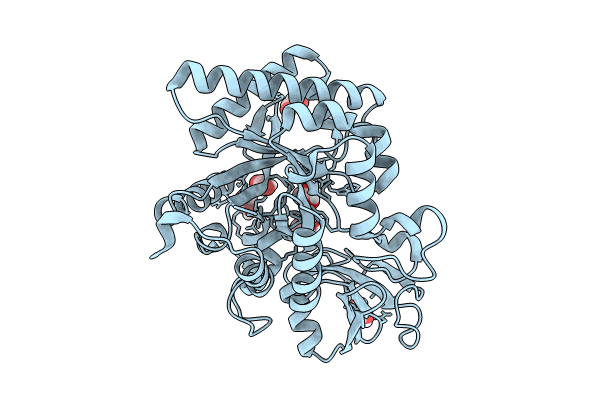 8P8S image