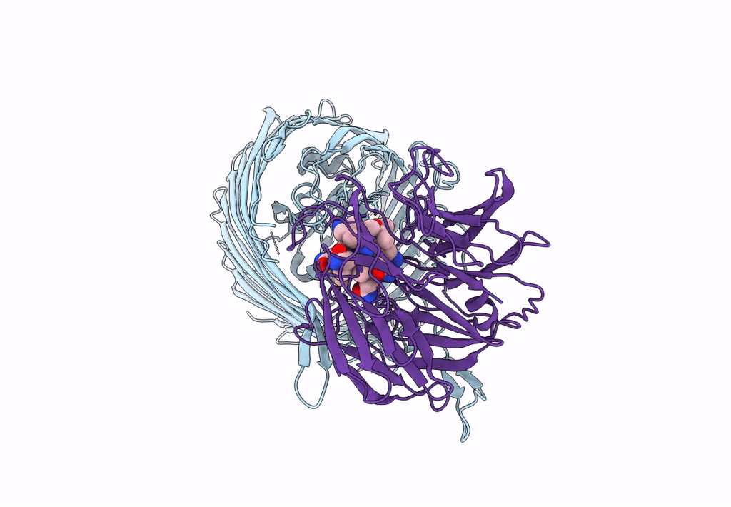 8P97 image