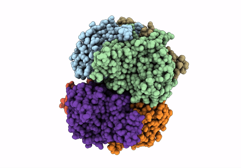 8P9V image