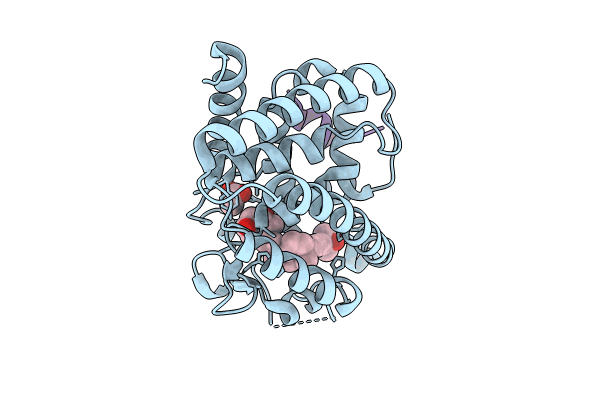 8P9X image