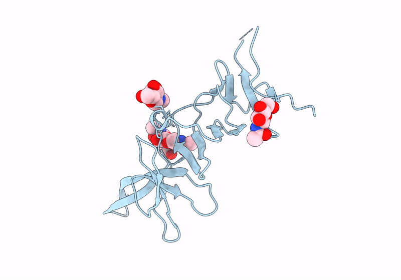 8PAE image
