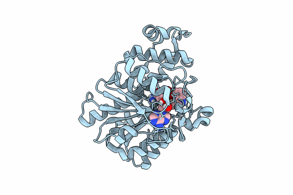 8PB4 image