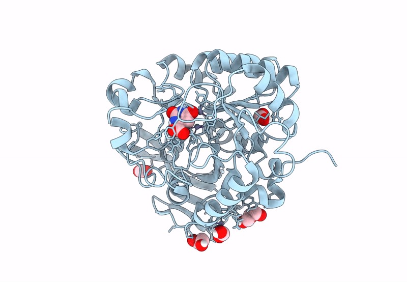 8PBM image